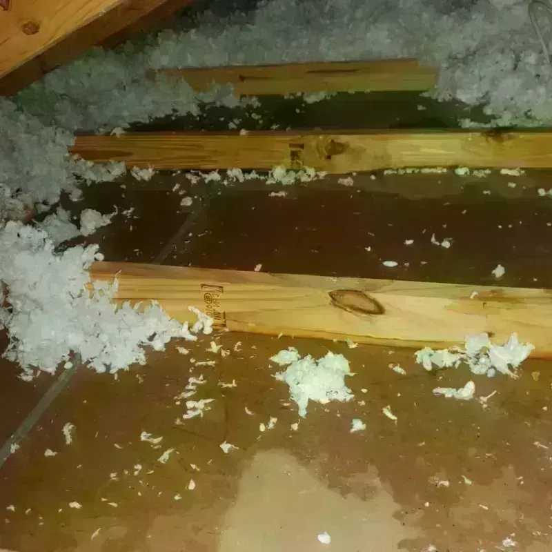 Attic Water Damage in Charles City County, VA