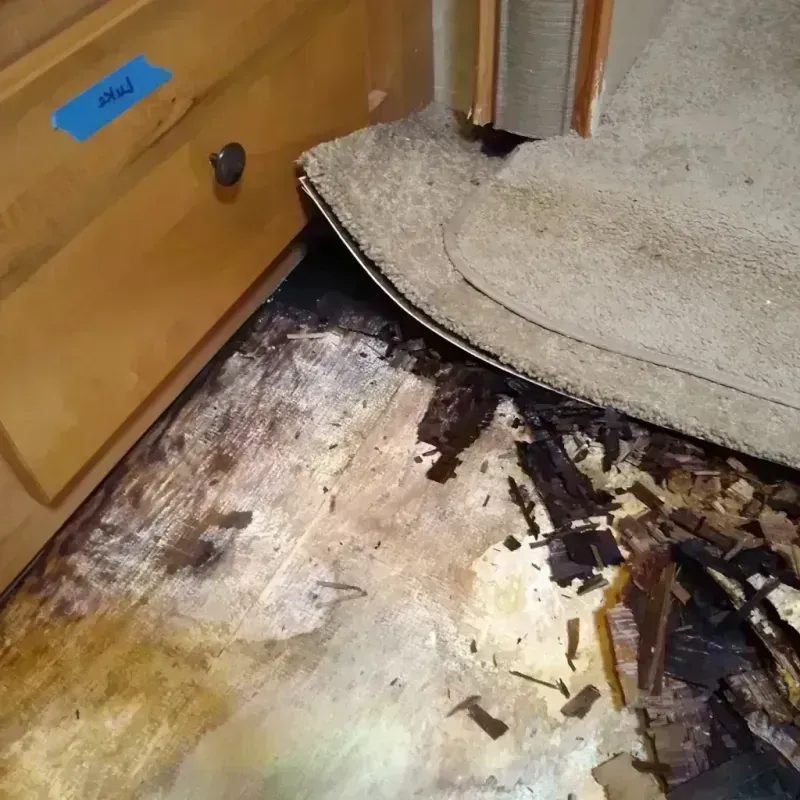 Best Wood Floor Water Damage Service in Charles City County, VA